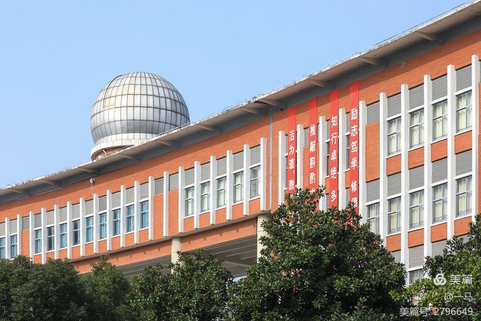 震中深秋 银杏鎏金染书香，一隅秋色慰时光